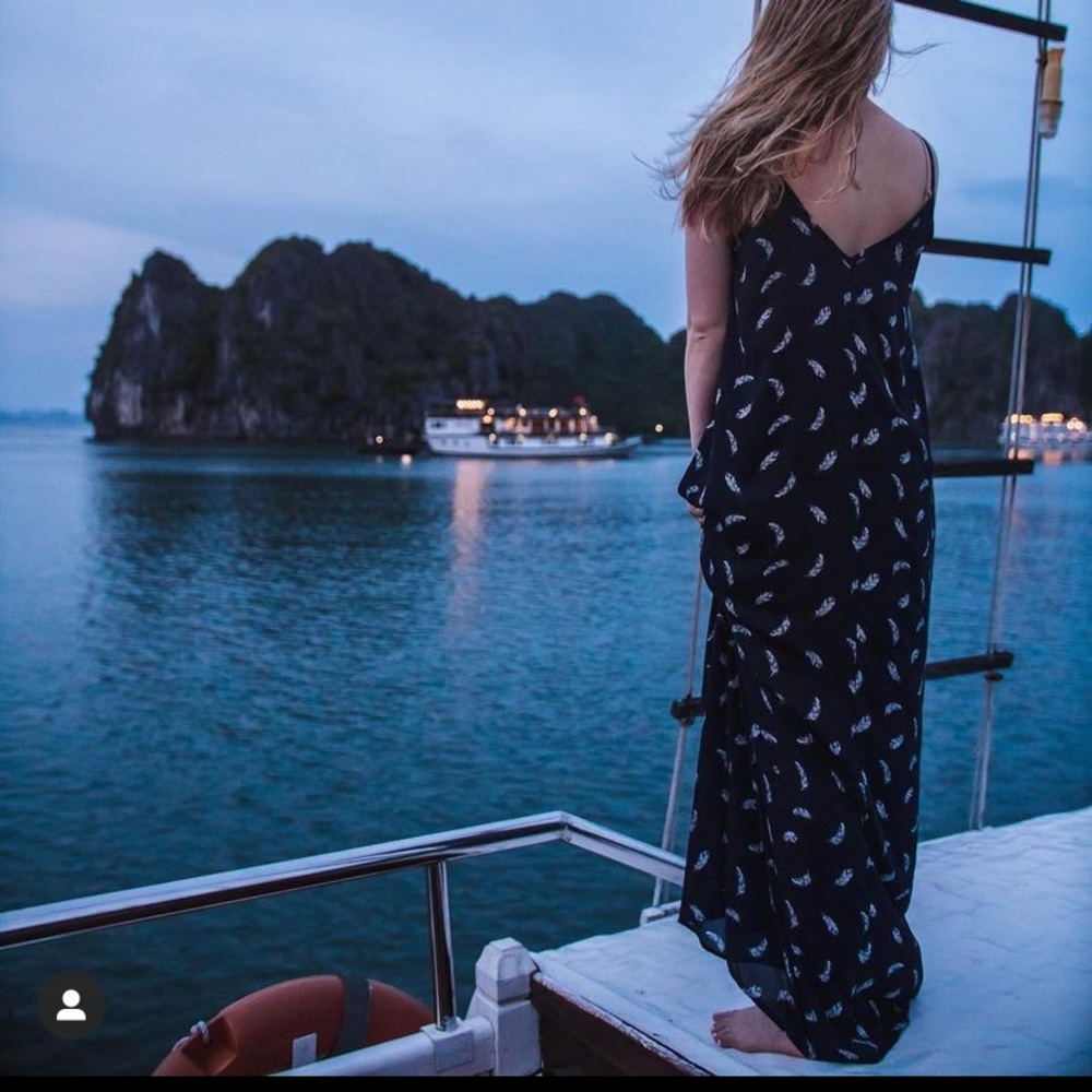 Fully Lined Feather Print Maxi Dress